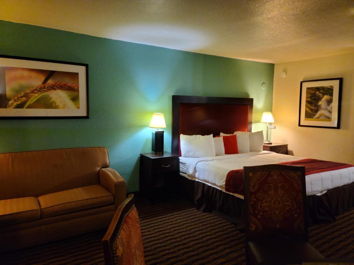 Budget Host 3* Salina